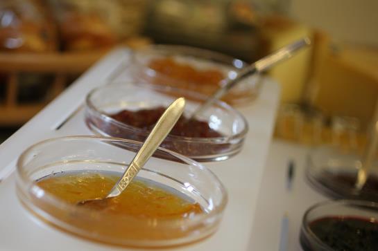 Hotel Garni Torkelbündte  | Bad Ragaz | Sankt Gallen | Schweiz 11