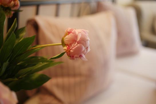 Hotel Garni Torkelbündte  | Bad Ragaz | Sankt Gallen | Schweiz 15