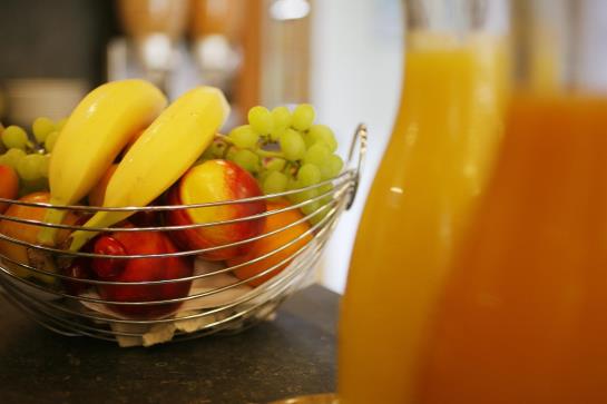 Hotel Garni Torkelbündte  | Bad Ragaz | Sankt Gallen | Schweiz 6