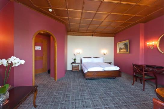 Parkhotel Waldau  | Rorschach | Saint Gallen | Switzerland 13