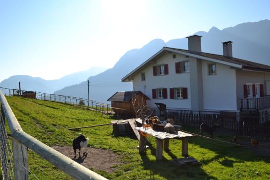Alpina Pension  | Tschappina | Graubünden | Schweiz 12