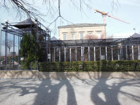 Hotel Loewen Am See  | Zug | Zug | Schweiz 7