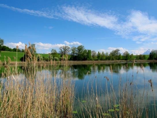 Seminar Hotel Gerzensee  | Gerzensee | Bern | Schweiz