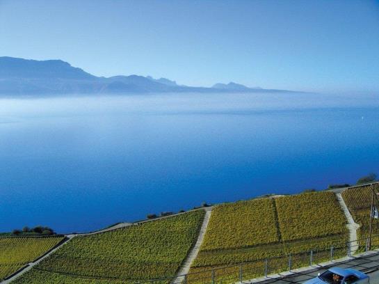 Hotel Baron Tavernier  | Chexbres | Vaud / Waadt | Schweiz 1