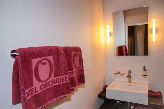Hotel Orchidee  | Burgdorf | Bern | Schweiz 3