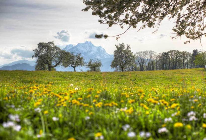 Hotel Friedheim  | Weggis | Luzern | Schweiz 10
