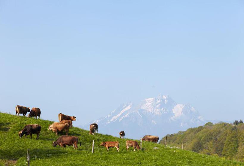 Hotel Friedheim  | Weggis | Luzern | Schweiz 11