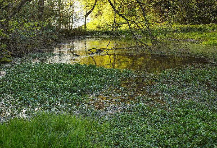 Hotel Friedheim  | Weggis | Luzern | Schweiz 16