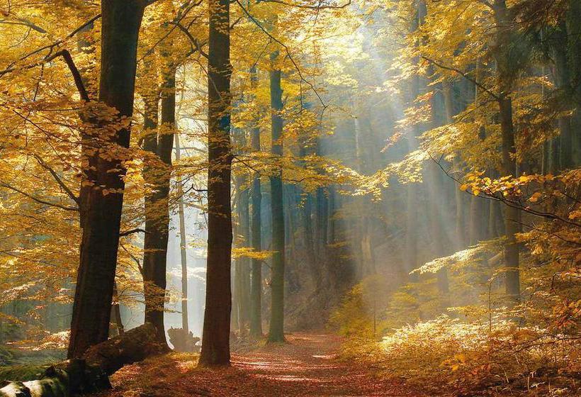 Hotel Friedheim  | Weggis | Luzern | Schweiz 19