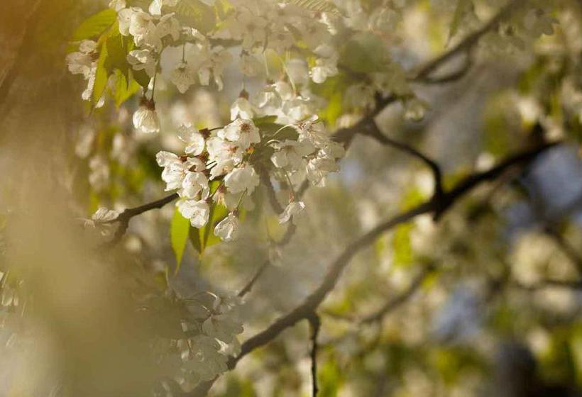 Hotel Friedheim  | Weggis | Luzern | Schweiz 9