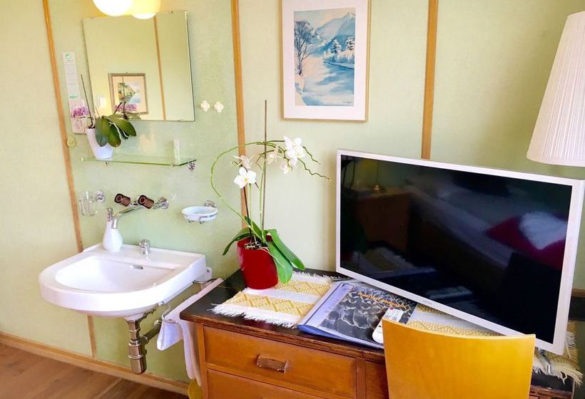 Hotel Gletscherblick  | Hasliberg | Bern | Schweiz 6