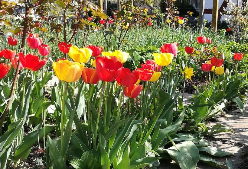 Bed & Breakfast Garnihotel Mühletal  | Stein am Rhein | Schaffhausen | Schweiz 11