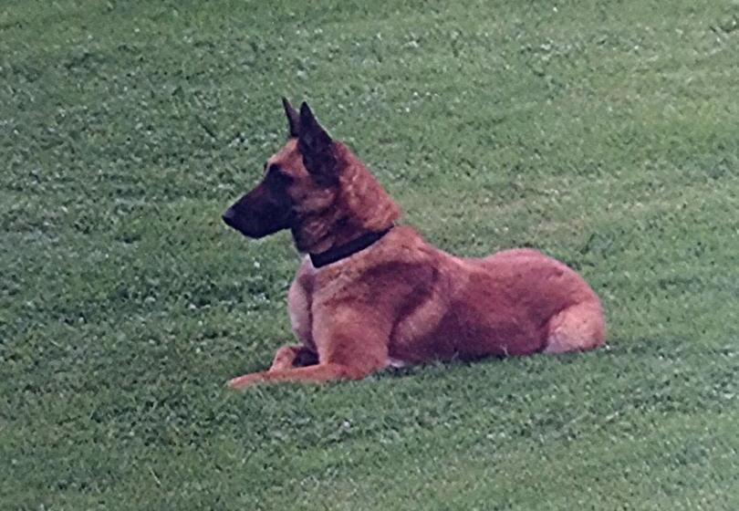 Privatzimmer / Bed & Breakfast  | Andermatt | Uri | Schweiz 20