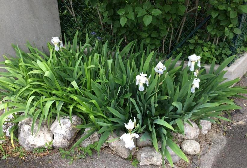 Bed & Breakfast Au Bonheur Des Iris  | Rolle | Vaud / Waadt | Schweiz 13