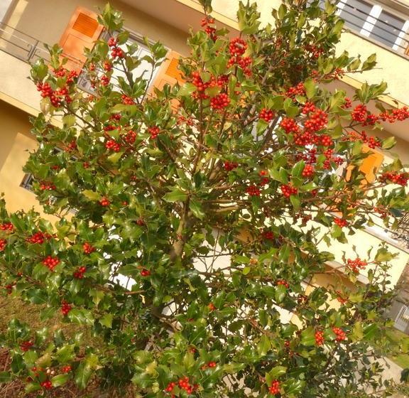 Bed & Breakfast Au Bonheur Des Iris  | Rolle | Vaud / Waadt | Schweiz 18