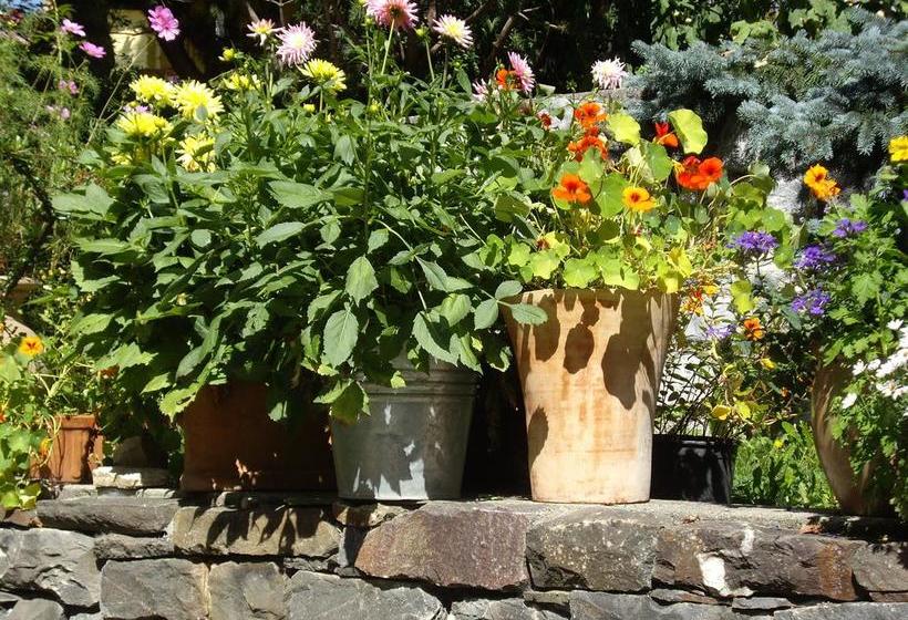 Hotel Piz Mitgel  | Savognin | Graubünden | Schweiz 12