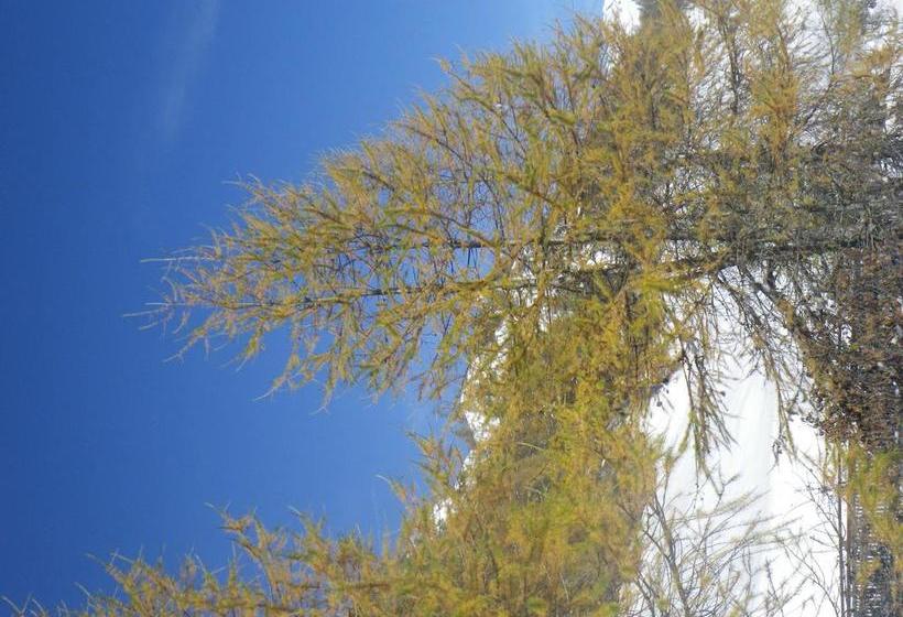 Hotel Apartgarni Motnaida  | Samnaun | Graubünden | Schweiz 6