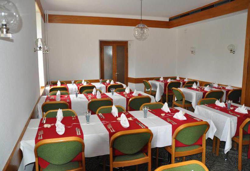 Bed and Breakfast Albergo Monte Pettine  | Ambri | Ticino / Tessin | Switzerland 13