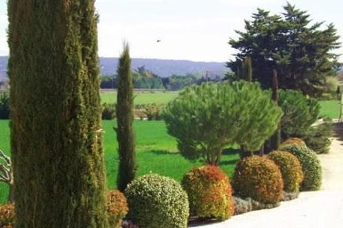 Bed and Breakfast Mas Dansavan Chambres D Hôtes  | Oppède | Vaucluse | France 17