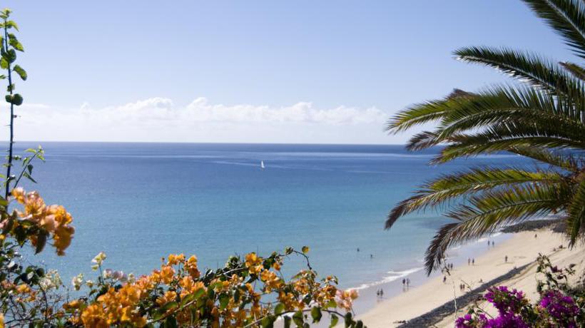 Hotel SBH Club Paraíso Playa  | Playa de Esquinzo | Fuerteventura | España 14