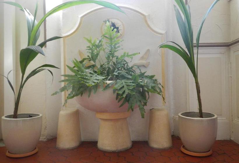 Hôtel Le Flore  | Frejus | Var | France 3