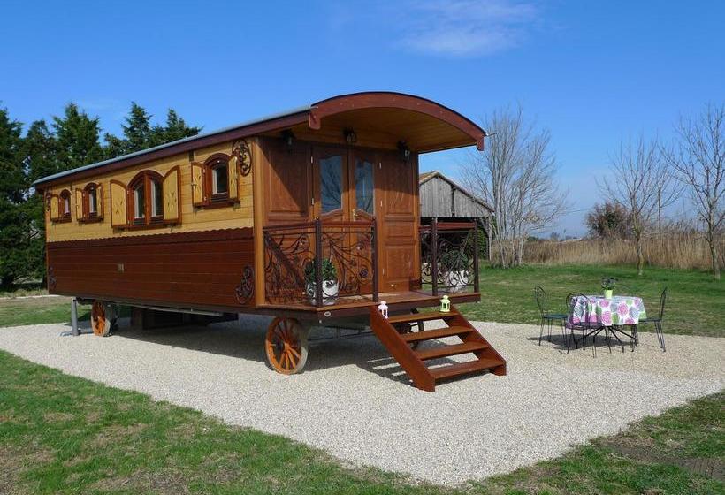 Bed and Breakfast Mas Petit Prince Arles