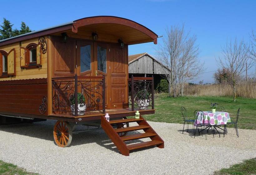 Bed and Breakfast Mas Petit Prince  | Arles | Bouches du Rhone | France 10