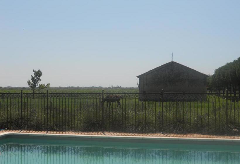 Bed and Breakfast Mas Petit Prince  | Arles | Bouches du Rhone | France 13