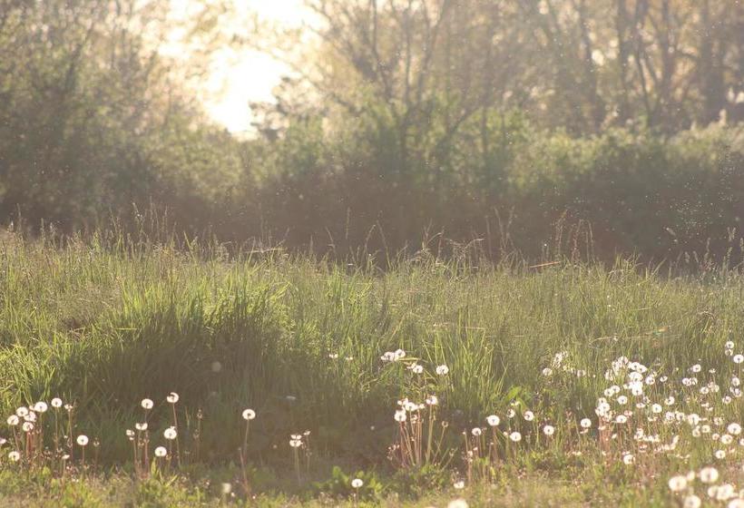 Bed and Breakfast Mas Petit Prince  | Arles | Bouches du Rhone | France 20