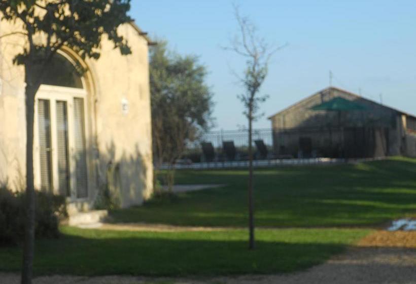 Bed and Breakfast Mas Petit Prince  | Arles | Bouches du Rhone | France 9