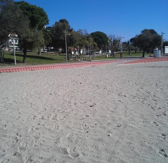 Bed and Breakfast Bed&breakfast Au Bord De Mer  | Toulon | Var | France 1