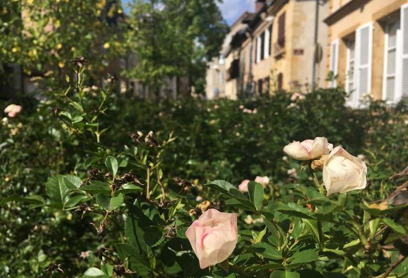 Bed and Breakfast Maison Corcovado  | Paray le Monial | Saone-et-Loire | France 2