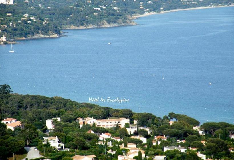 Hôtel Les Eucalyptus  | Cavalaire sur Mer | Var | France 2