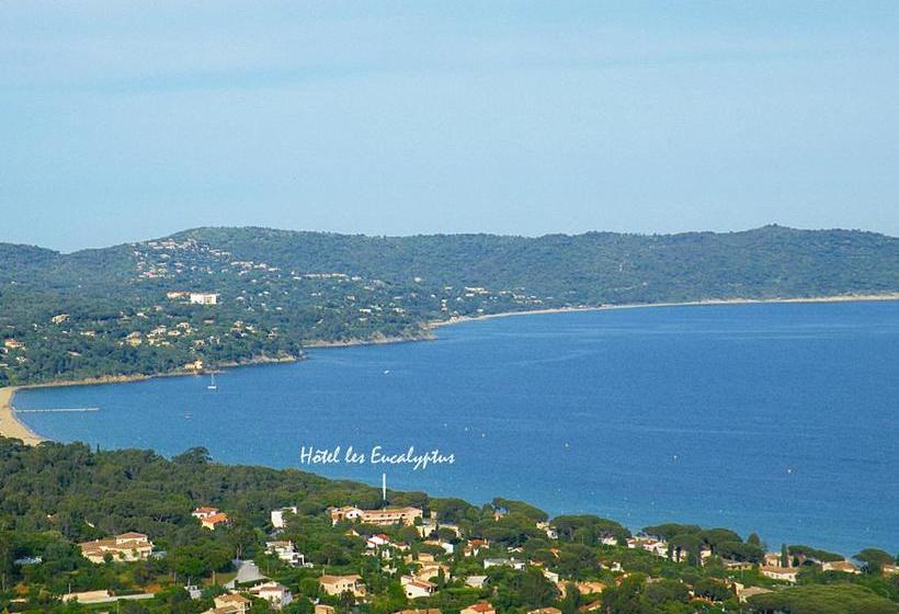 Hôtel Les Eucalyptus  | Cavalaire sur Mer | Var | France 20