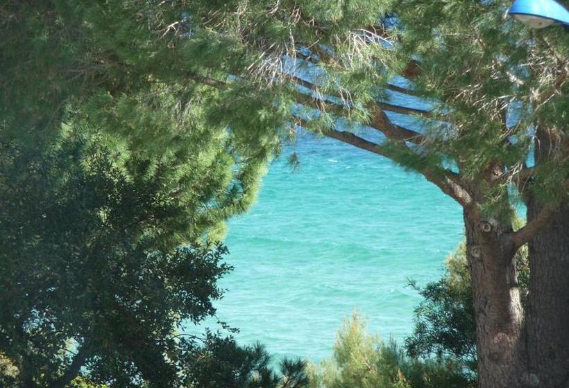 Hôtel Les Eucalyptus  | Cavalaire sur Mer | Var | France 4