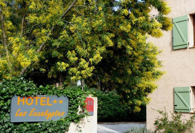 Hôtel Les Eucalyptus  | Cavalaire sur Mer | Var | France 6