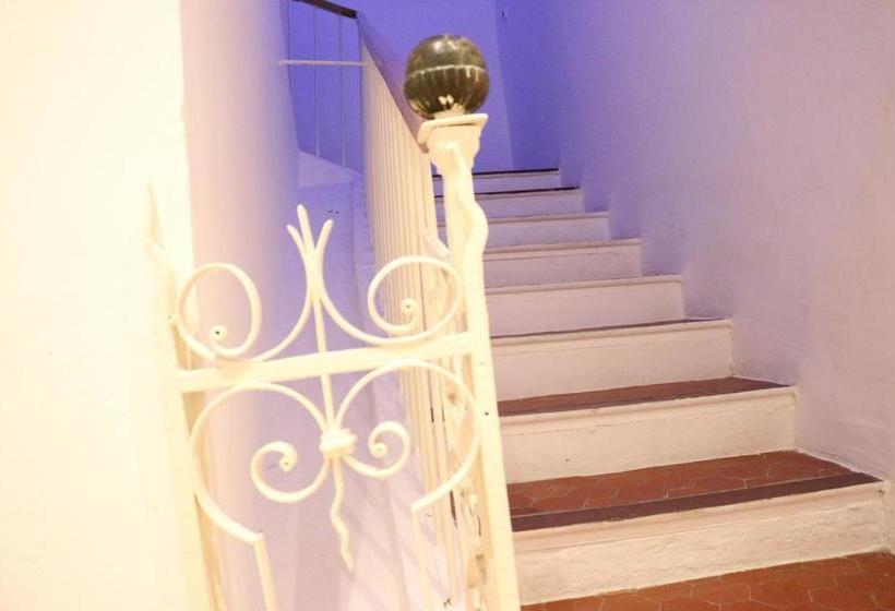 Auberge Hôtelière Backpakers House  | Antibes | Alpes-Maritimes | France 9