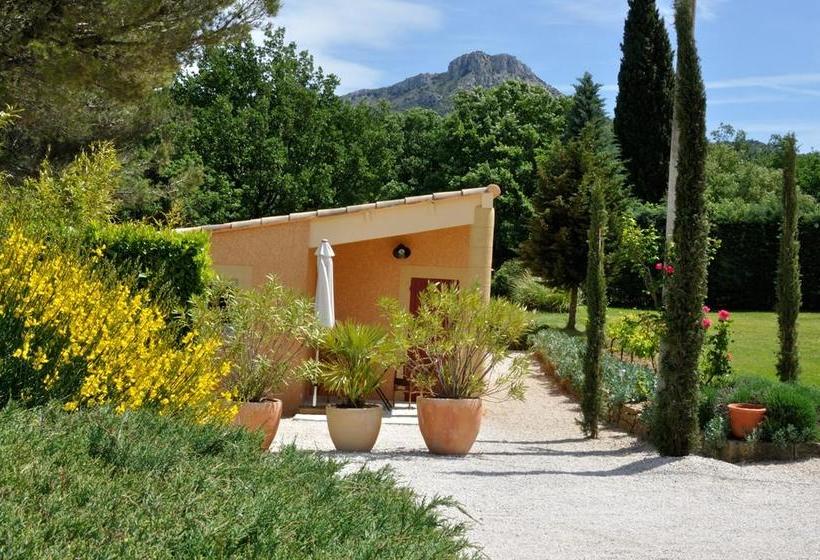 Bed and Breakfast Errances Provençales  | Trets | Bouches du Rhone | France 15