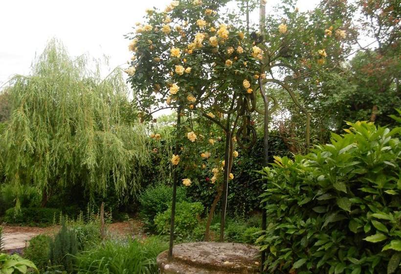 Bed and Breakfast Manoir Du Vieux Cedre  | Blois | Loir-et-Cher | France 19