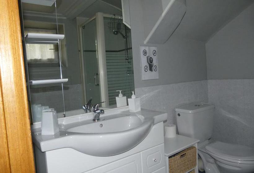 Bed and Breakfast Manoir Du Vieux Cedre  | Blois | Loir-et-Cher | France 4