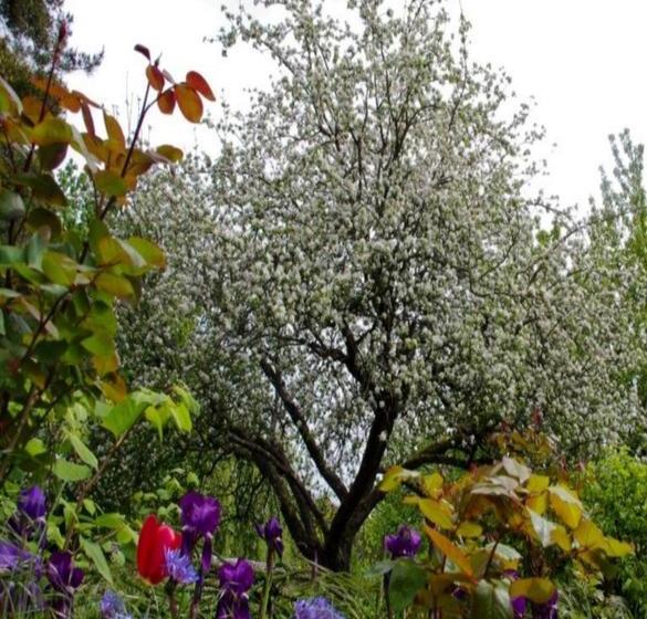 Bed and Breakfast Le Grand Jardin  | Beaune | Cote d'Or | France 14