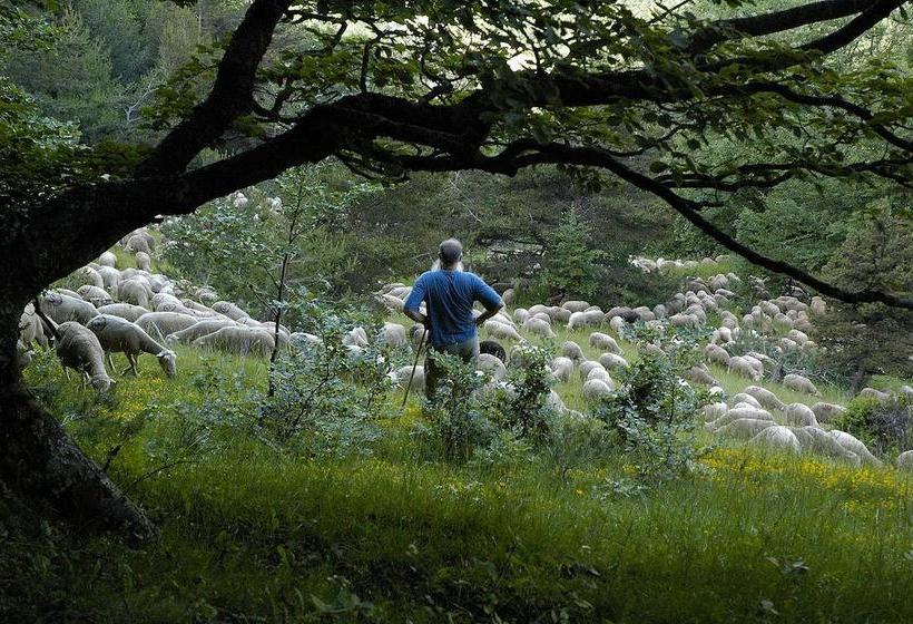 Bed and Breakfast Maison Bel Canto  | St Hilaire du Rosier | Isère | France 4