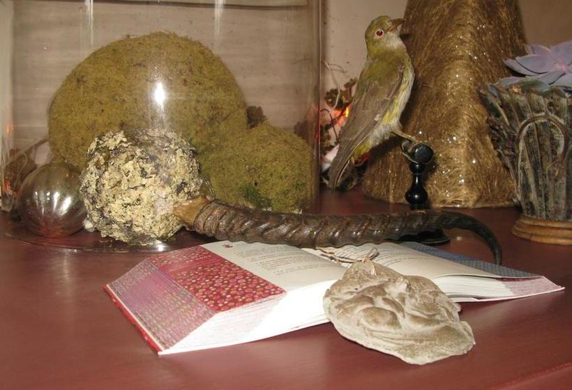 Bed and Breakfast Les Cours Du Clain  | Poitiers | Vienne | France 16