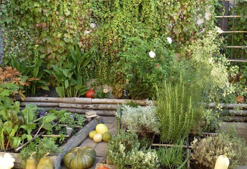 Bed and Breakfast Logis Saintflaceau  | Le Mans | Sarthe | France 17