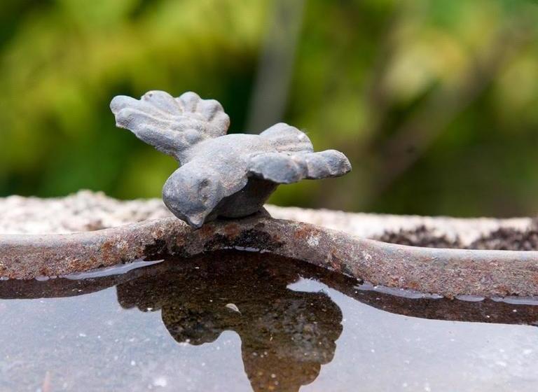 Bed and Breakfast Logis Saintflaceau  | Le Mans | Sarthe | France 19