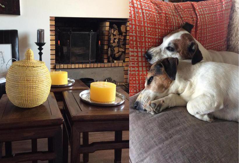 Bed and Breakfast Domaine Des Closeaux  | Puligny Montrachet | Cote d'Or | France 12