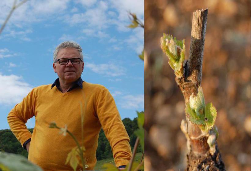 Bed and Breakfast Domaine Des Closeaux  | Puligny Montrachet | Cote d'Or | France 13