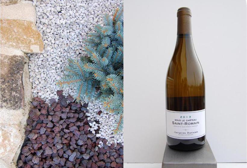 Bed and Breakfast Domaine Des Closeaux  | Puligny Montrachet | Cote d'Or | France 16