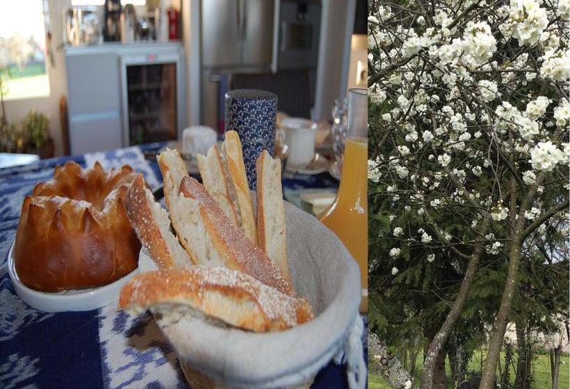 Bed and Breakfast Domaine Des Closeaux  | Puligny Montrachet | Cote d'Or | France 17