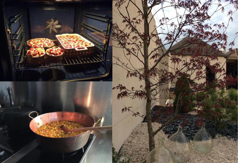 Bed and Breakfast Domaine Des Closeaux  | Puligny Montrachet | Cote d'Or | France 20